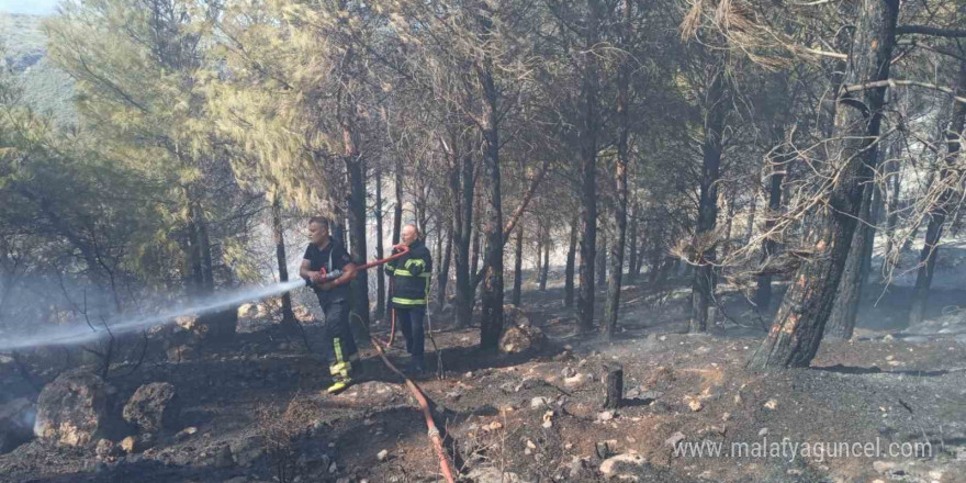 Antakya’da orman yangını