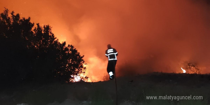 Antakya’da ormanlık alanda yangın