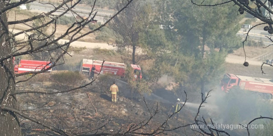 Antakya’da ormanlık alandaki yangın büyümeden söndürüldü