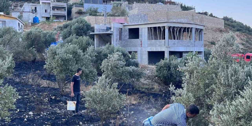 Antakya’da zeytinlik alanda çıkan yangın büyümeden söndürüldü