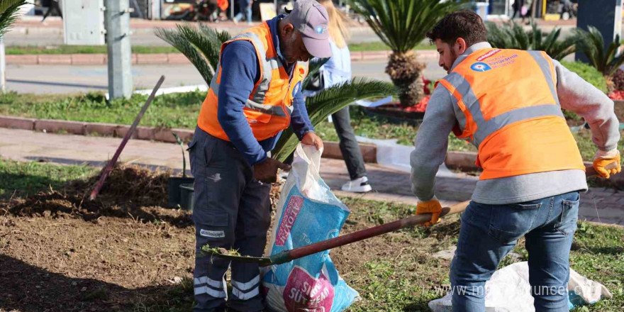 Antalya yaz kış rengarenk