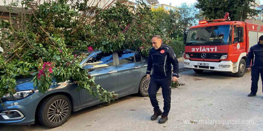 Antalya’da fırtınaya dayanamayan ağaç park halindeki aracın üzerine devrildi