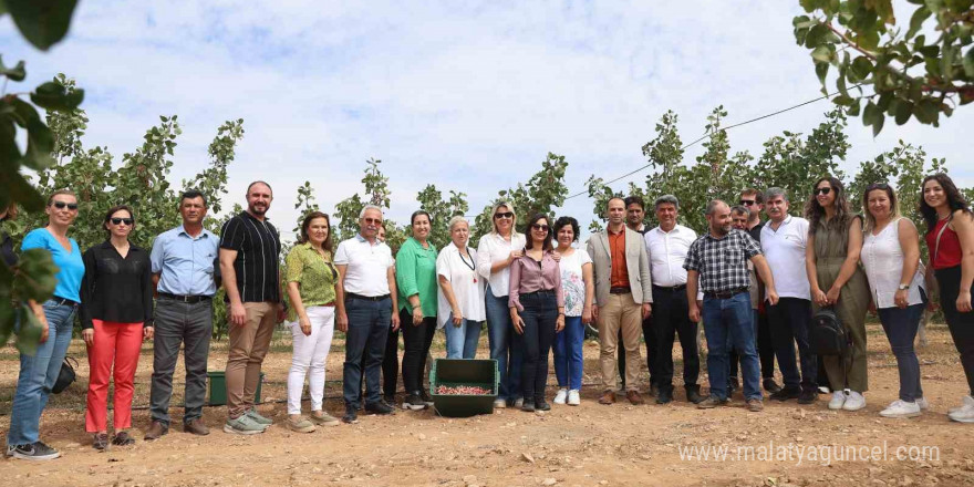 Antalya’da kuraklığa dayanıklı Toros fıstığı, tarımsal kalkınmaya destek sağlayacak