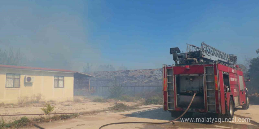 Antalya’da sazlık yangını: 3 sera zarar gördü