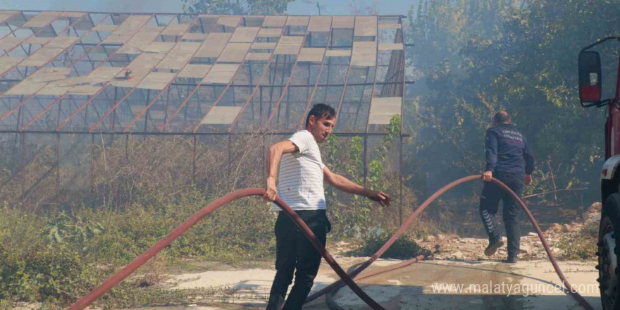 Antalya’da sazlık yangını: 3 sera zarar gördü