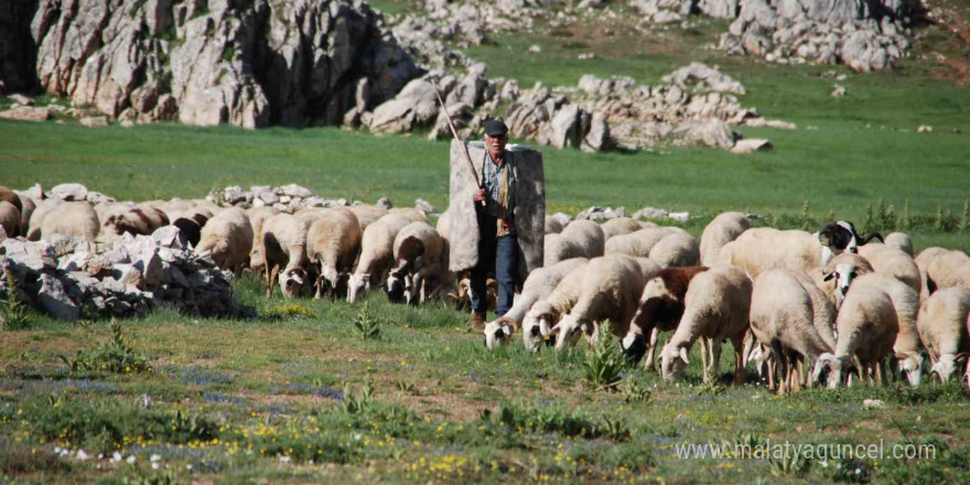 Antalya’da Yörüklerin yayladan dönüşü başladı