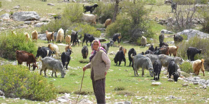 Antalya’da Yörüklerin yayladan dönüşü başladı