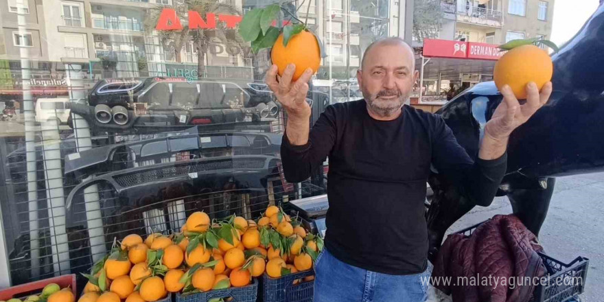 Antalya’nın dev portakalları: 3 tanesi 2 kilo geliyor