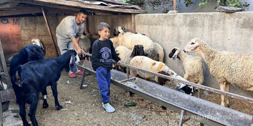 Arabasını satarak hayvancılığa başlayan depremzede baba ve böbrek hastası 2 evladının umudu olan 22 koyunu polis ekipleri buldu