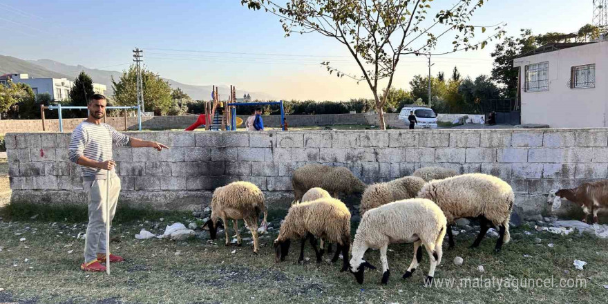 Arabasını satarak hayvancılığa başlayan depremzede baba ve böbrek hastası 2 evladının umudu olan 22 koyunu polis ekipleri buldu