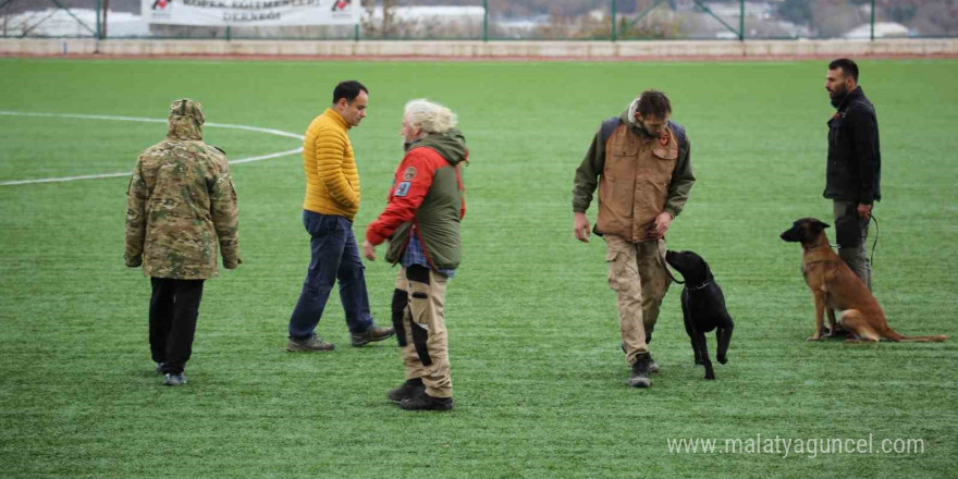 Arama kurtarma köpekleri hakem semineri Çekmeköy’de düzenlendi