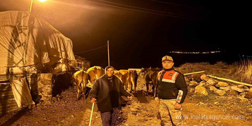 Ardahan’da kaybolan hayvanlar bulunup sahibine teslim edildi