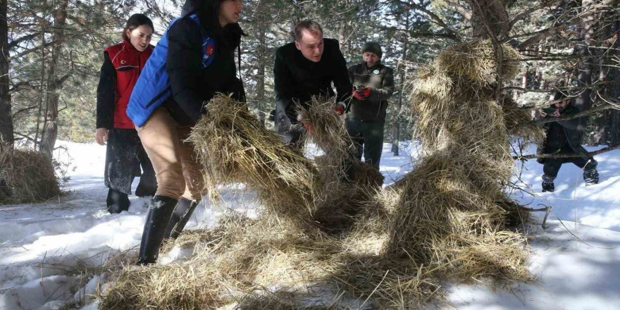 Ardahan’da yaban hayvanları için doğaya yem bırakıldı