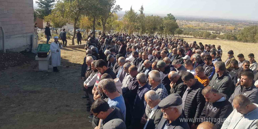 Arı sokan şahıs hayatını kaybetti