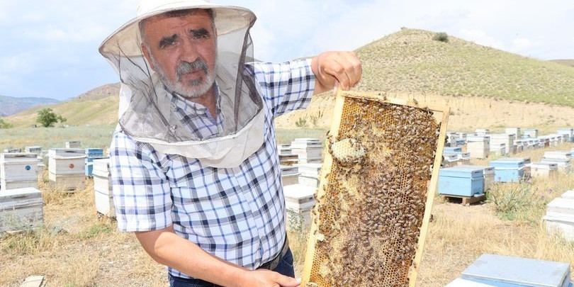 Arıcılıkta “Ana Arı” en önemli faktör