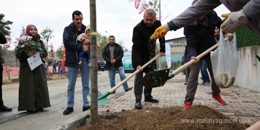 Arnavutköy’de doğan her çocuk için bir ağaç yetişecek