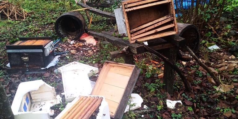 Artvin’de ayılar arı kovanlarına zarar verdi, 100 kg kestane balını midelerine indirdi