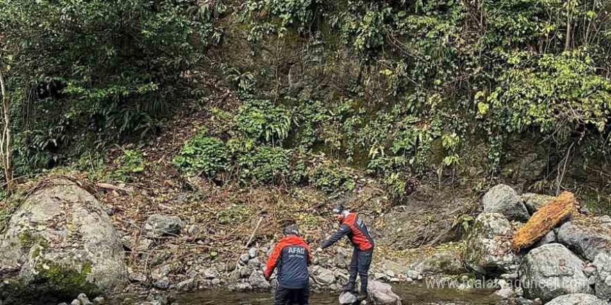 Artvin’de kayıp işçiyi arama çalışmaları sürüyor