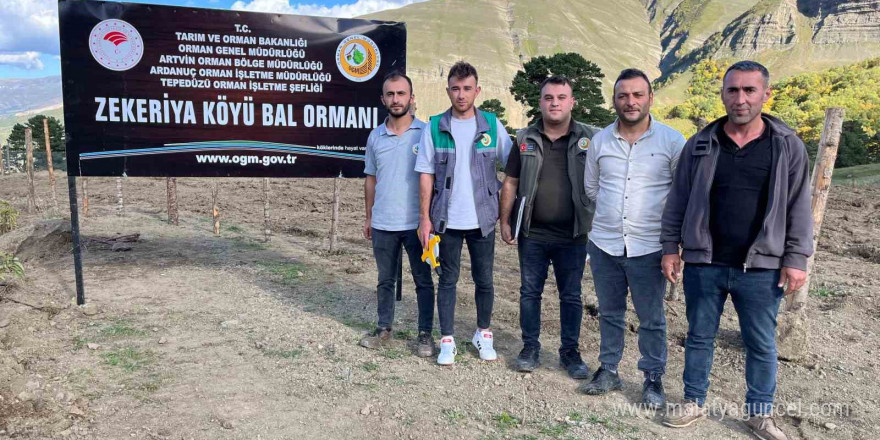 Artvin’de keşfedilen bal, köylünün yeni gelir kapısı oldu