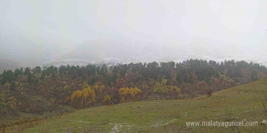 Artvin’in yüksek kesimlerine mevsimin ilk karı düştü