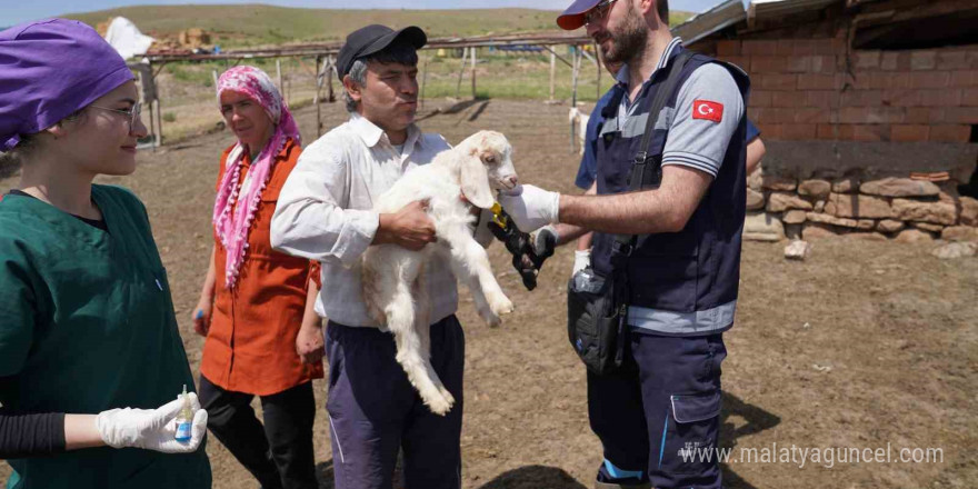 Aşısı olmayan riskli hayvana sahip çiftçilere uyarı: 