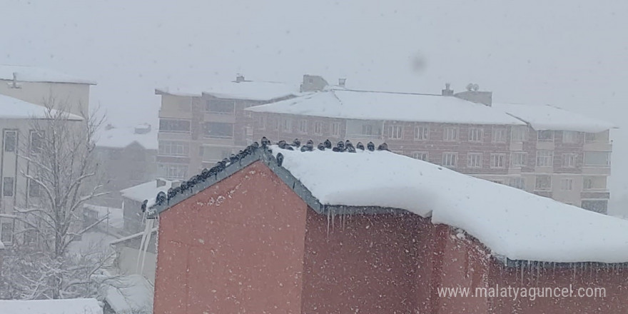 Aşkale’de kar yağışı etkili oluyor