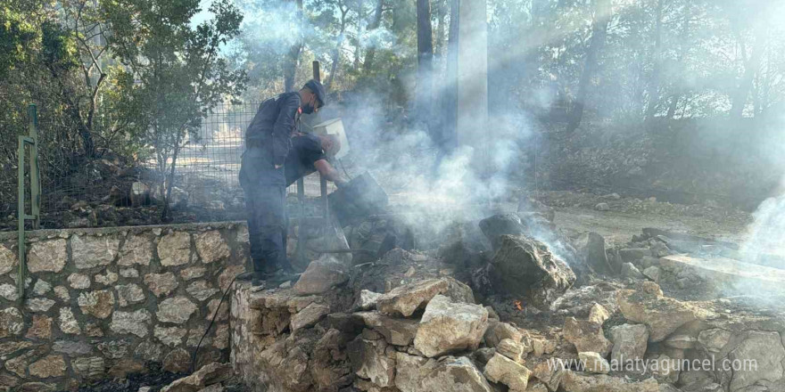 Asker ve itfaiye sahaya indi, yangının çıkış noktası ve sebebi araştırılıyor