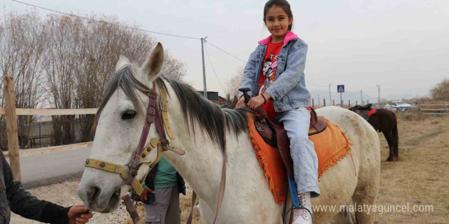 At çiftliğine ilgi büyük