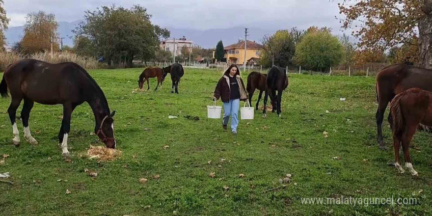 At sevgisiyle başlayan hobi hipodromda devam ediyor: Kurduğu tesiste yarış atı üretiyor