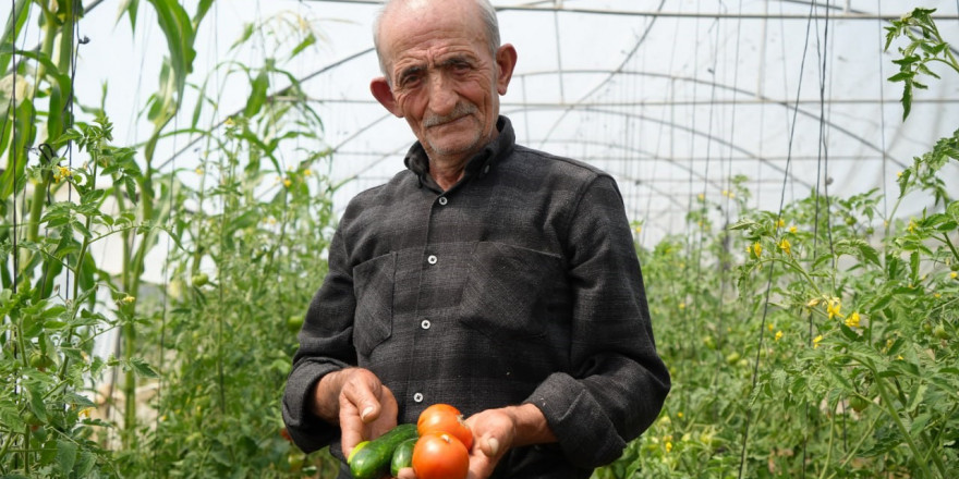 'Ata tohumu memleket meselesi' diyen 74 yaşındaki çiftçi ömrünü organik tarıma adadı