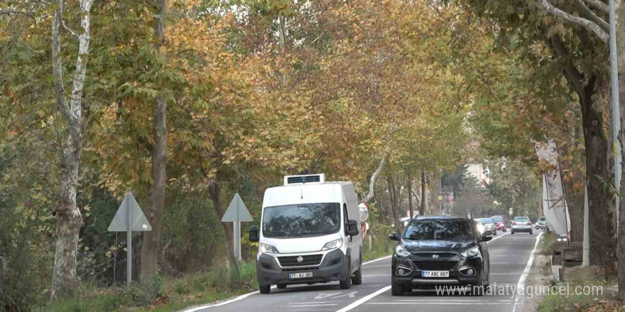 Ata yadigarı Çınarlı Hıyaban her mevsim ayrı güzel