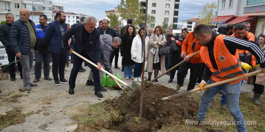 Atakum yeşile bürünüyor