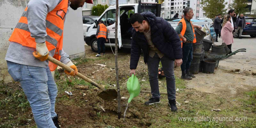 Atakum yeşile bürünüyor