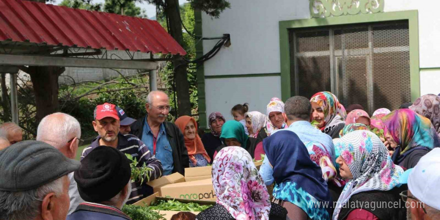 Atakum’da çiftçiye 30 bin sebze fidesi ve tohum desteği