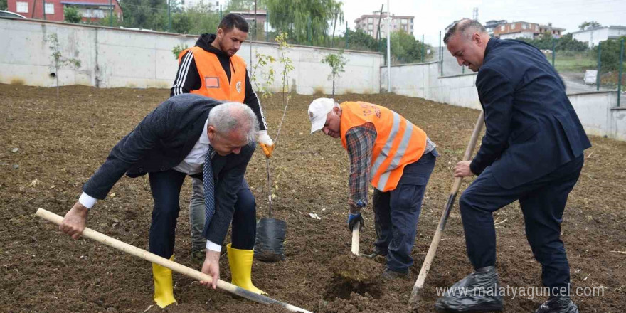 Atakum’daki okullarda meyve ağaçları yetiştirilecek