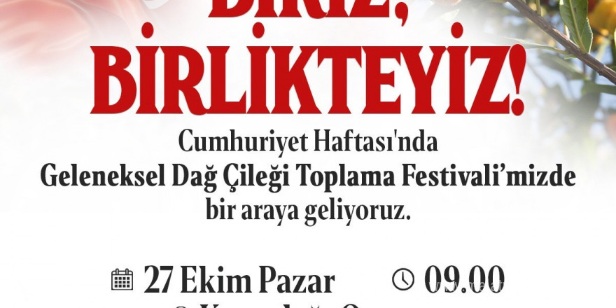 Ataşehir’de ‘Dağ Çileği Toplama’ festivali