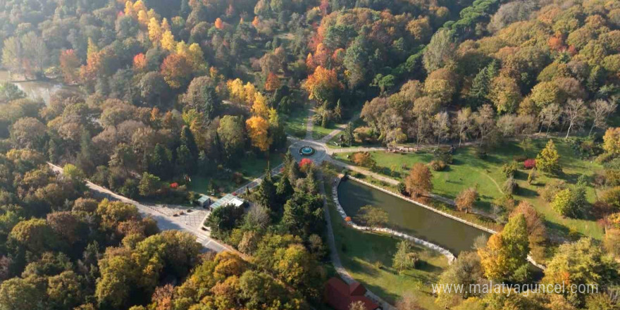 Atatürk Arboretumu’ndaki kartpostallık sonbahar manzarası havadan görüntülendi