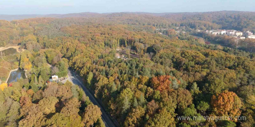 Atatürk Arboretumu’ndaki kartpostallık sonbahar manzarası havadan görüntülendi