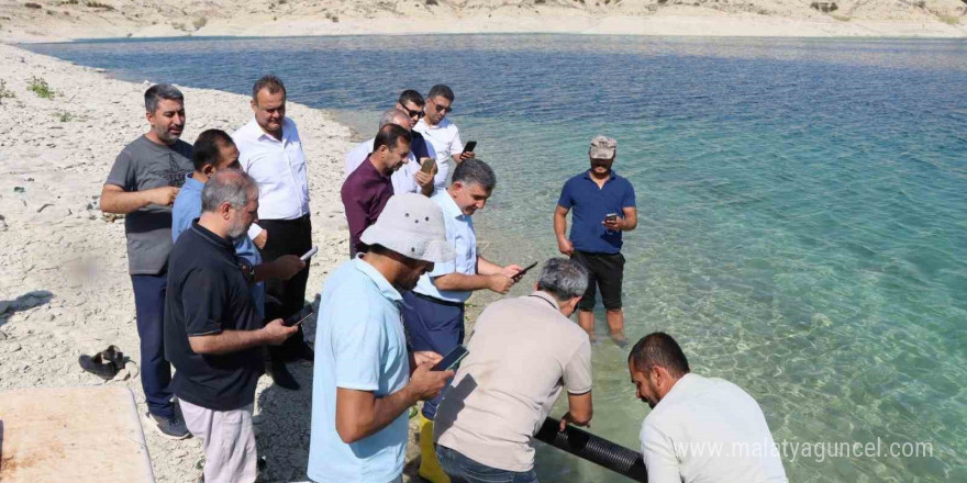 Atatürk Baraj Göleti’ne 2 buçuk milyon şabut balığı yavrusu bırakıldı