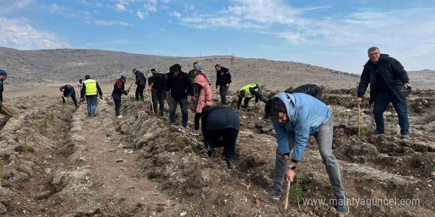 Ata’yı fidan dikerek andılar