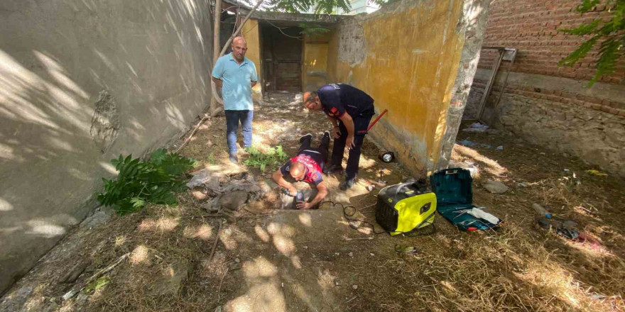 Atık su borusunda mahsur kalan yavru köpekleri itfaiyeciler kurtardı