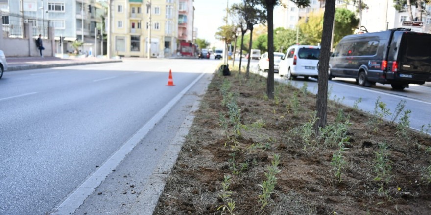 Atikhisar caddesi lavantalar ile donatıldı