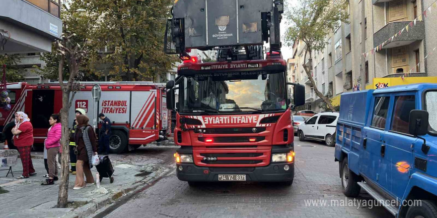 Avcılar’da yangın çıkan dairede mahsur kalan tavşanı itfaiye kurtardı