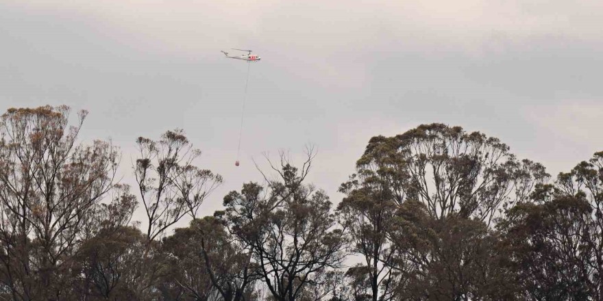 Avustralya’da orman yangını: 3 ev ile 5 bin hektardan fazla alan kül oldu