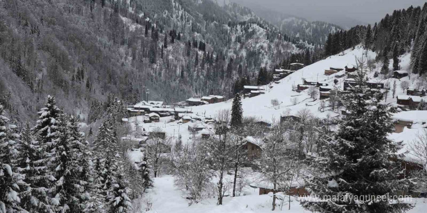 Ayder Yaylası’nda günlerdir devam eden kar yağışı hem ziyaretçileri hem işletmecileri mutlu ediyor