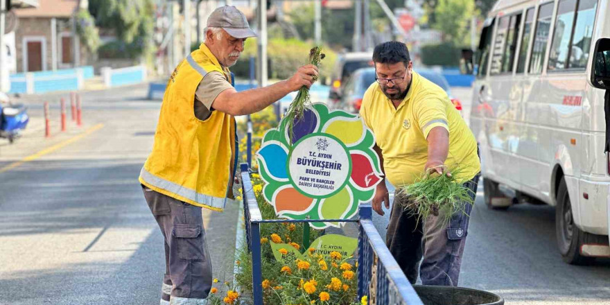 Aydın Büyükşehir Belediyesi’nden çevre bakımı seferberliği