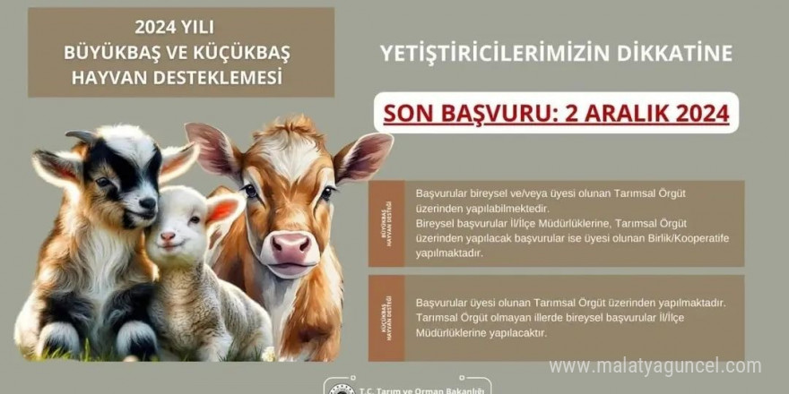 Aydın İl Tarım ve Orman Müdürlüğü’nden destekleme başvuruları için son gün uyarısı