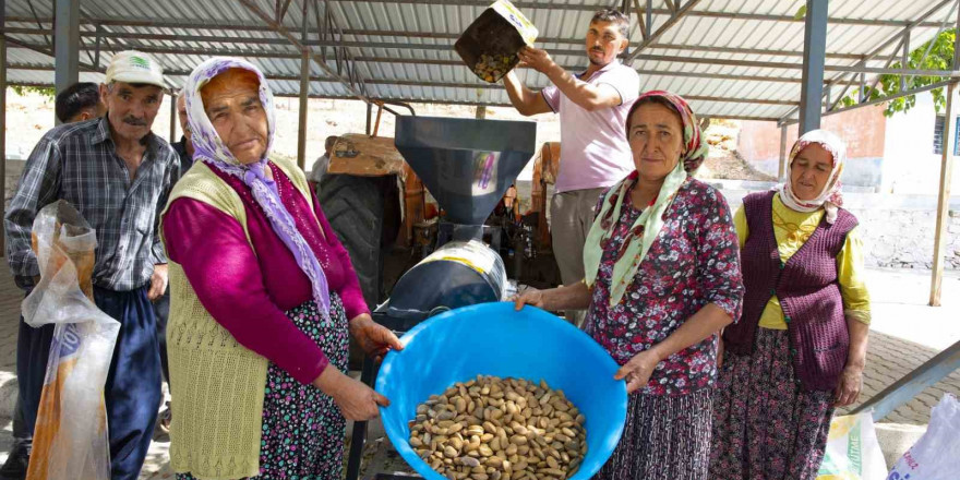 Aydıncık ve Gülnarlı üreticilerin badem soyma derdi bitti