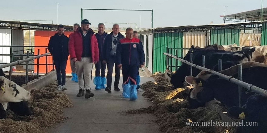 Aydın’da AB’ye ihracat onaylı çiftliklerde incelemelerde bulunuldu