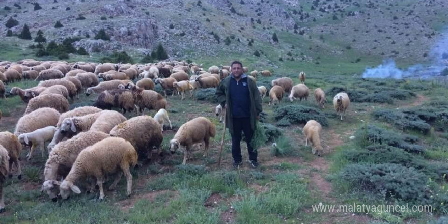 Aydın’da düzenlenen Yörük Çalıştayı’nın sonuç raporu yayınlandı